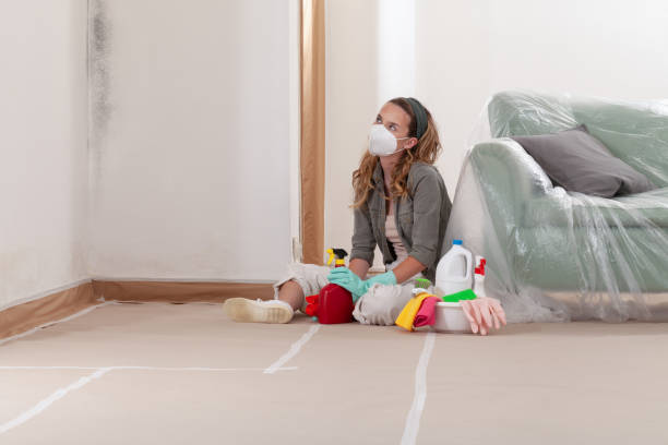 Trusted Black Mold Removal service in Comstock Park, MI - Cheap Mold Removal