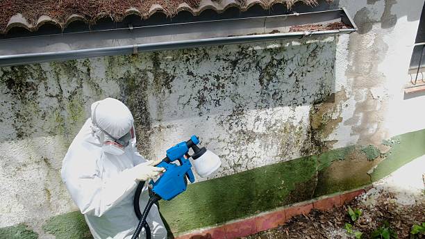 Trusted Commercial Mold Remediation service in Comstock Park, MI - Cheap Mold Removal